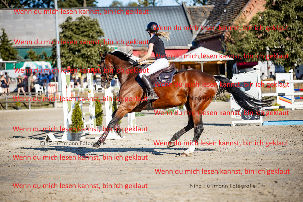 BK1A8327 | Turnierbilder Turnierfotos Nina Hüffmann Turnierfotografie Pferdefotografie Tierzeichnung Haustierzeichnung Pferdezeichnung Hundezeichnung Videograf  - Realisiert mit Pictrs.com