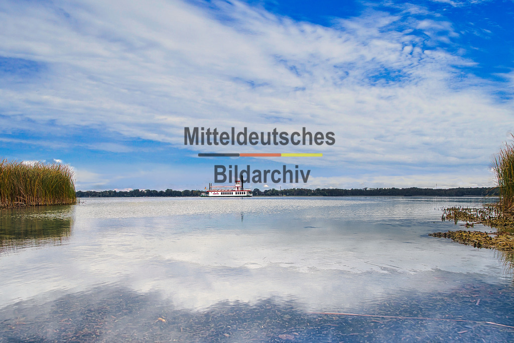 Queen_Arendsee_1964 | Auf dem Arendsee fährt das Fahrgastschiff "Queen Arendsee". Es ist ein Schaufelradschiff, das seit 1991 im Einsatz ist und Rundfahrten auf dem See anbietet. Das Schiff ist auch als "schwimmendes Standesamt" bekannt, da hier Trauungen stattfinden können.  - Realisiert mit Pictrs.com