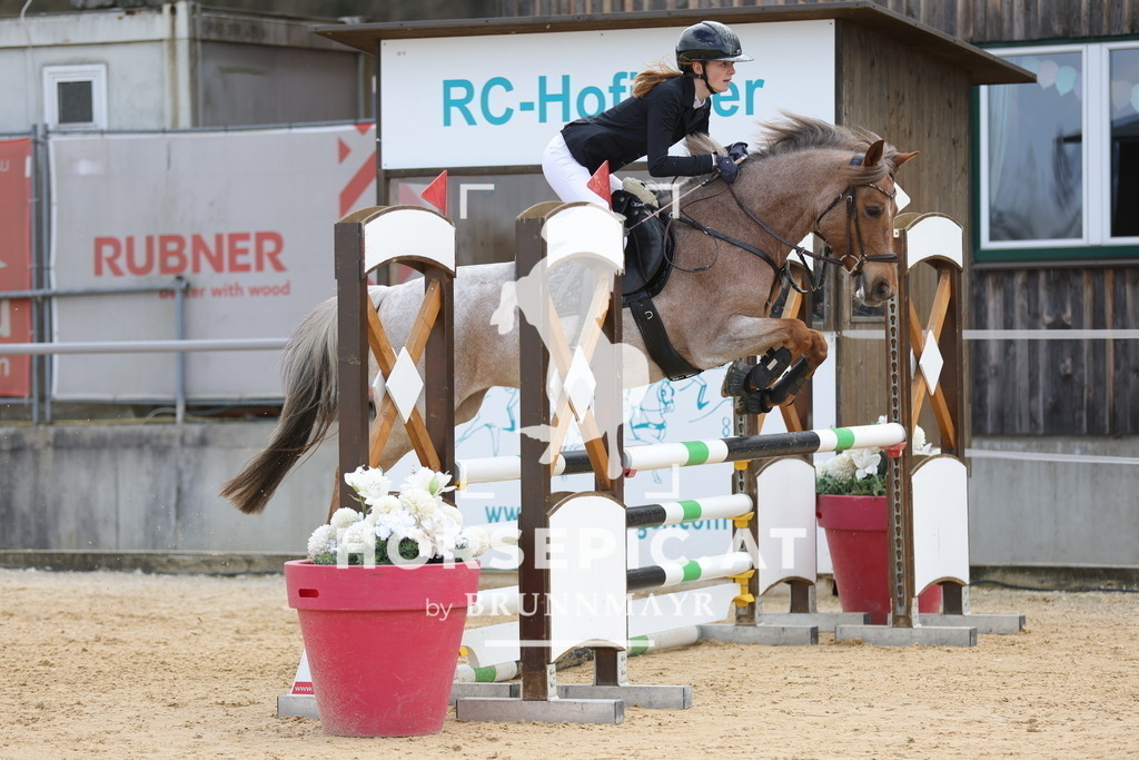 0P6A8563 | Willkommen bei Brunnmayr - Design & Fotografie – Ihrem Spezialisten für Reitturniere und Pferdeveranstaltungen in Oberösterreich, Salzburg und Bayern! Seit über 17 Jahren sind wir leidenschaftlich dabei.