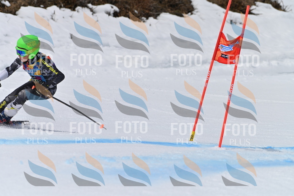 BGV_5170 | holidayphoto