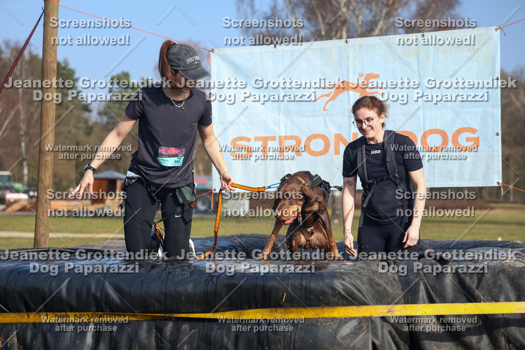 Dog Paparazzi - Strongdog North Mrz26-3429 | Dog Paparazzi Jeanette Grottendiek Fotografie & Videografie - Realisiert mit Pictrs.com