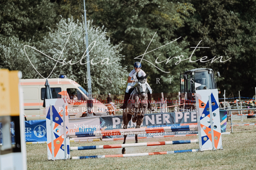 DSC_9321 | Pferde- und Turnierfotografie in Westsachsen. Pferdeportraits, Auftragszeichnungen und intuitive Kunst.