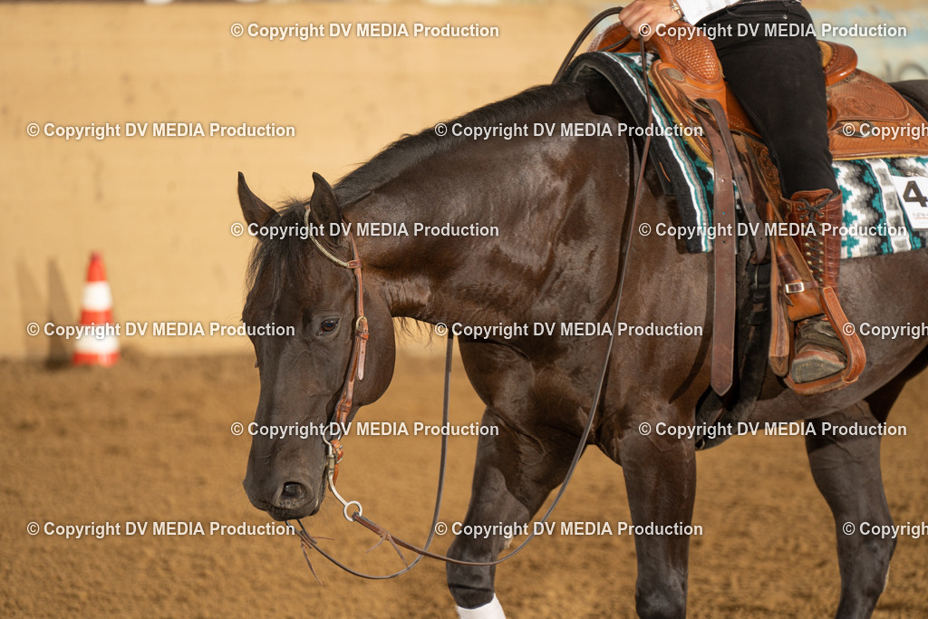 LAU01835 | dv-media-shop - Realisiert mit Pictrs.com