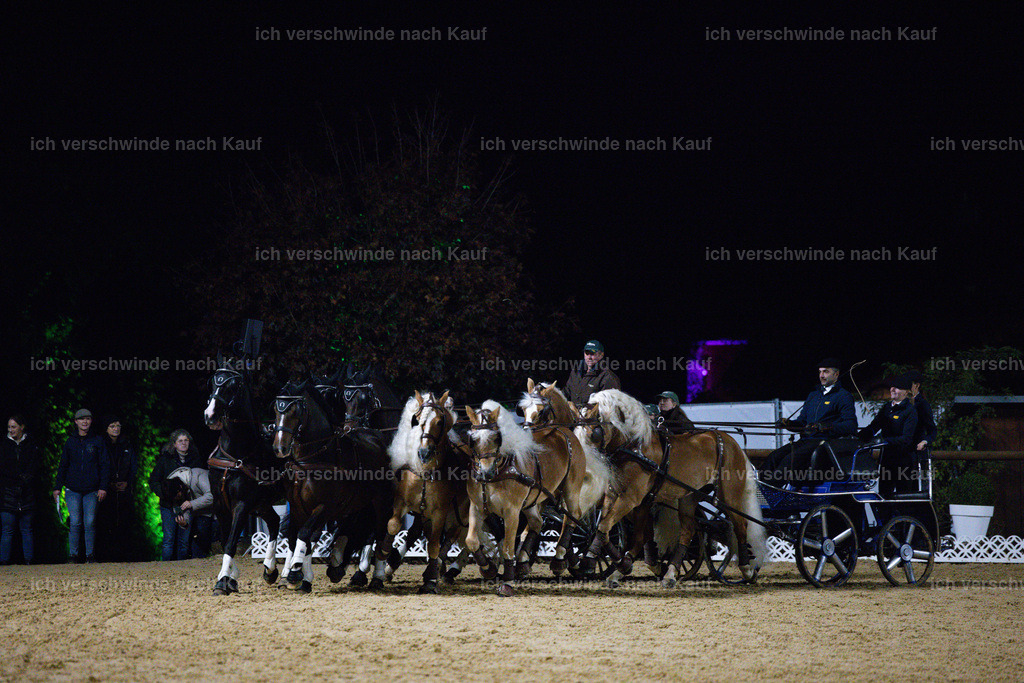 FHClassics-295 | working equitationturnier fotograf videograf stoibphotography marixx film working equitation deutschland reitsport turnierfotografie eventfotografie equestrian events