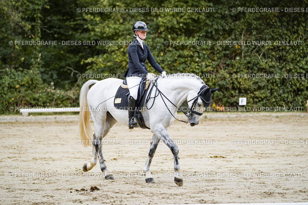 DSC08549 | Pferdegrafie