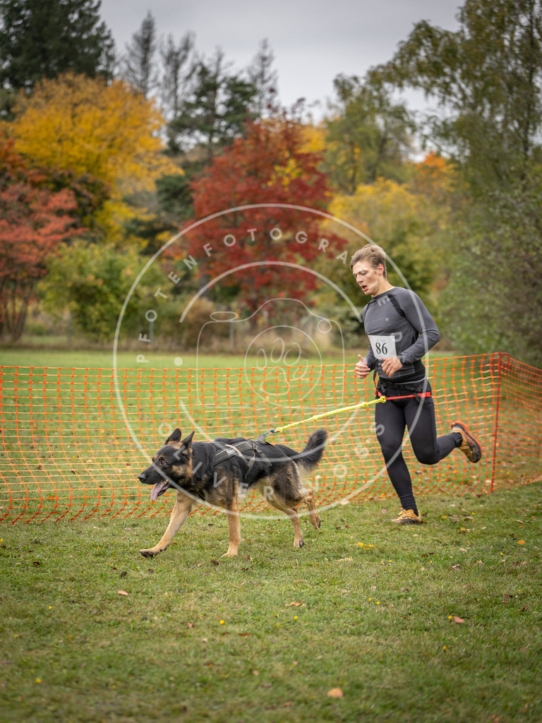 Pfotenfotografie_DV3A3169 | Hundefotografie, Tierfotograf, Pfotenfotografie, Fotoshooting Hund, Hunde Portrait, Hundesport, Hundeportraits, Heideshooting, Hunde, Sportfotograf, Hundefotograf, Turnierhundsport, THS,  - Realisiert mit Pictrs.com