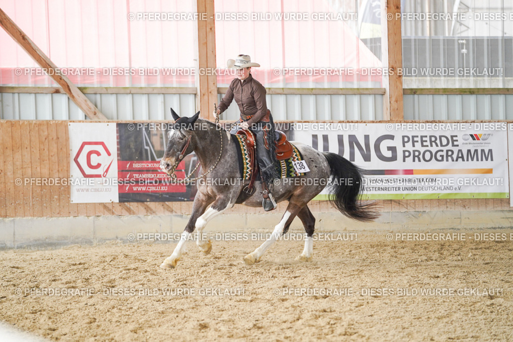 DSC02129 | Pferdegrafie