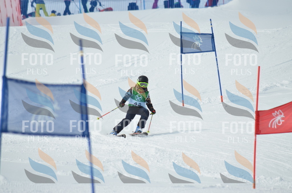 D8726 | holidayphoto