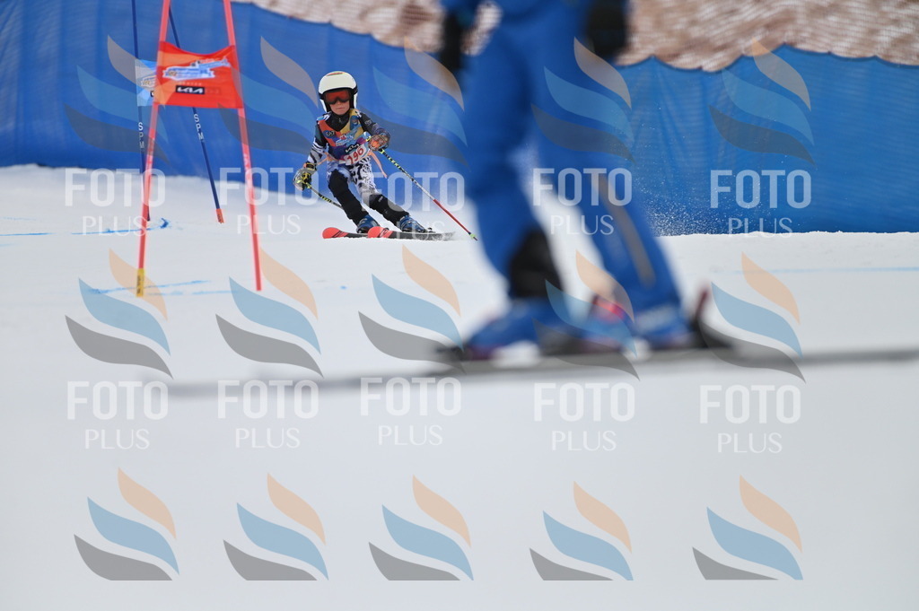 BGV_1697 | holidayphoto