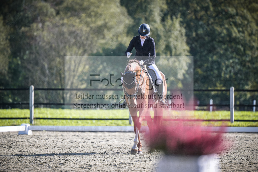 DOS_3343 | Entdecke hochwertige Reitturnierfotos von Foto Oger. Professionell, emotional und authentisch – jetzt Lieblingsmomente im Shop bestellen.Deutschlandweite Turnierfotografie. - Realisiert mit Pictrs.com