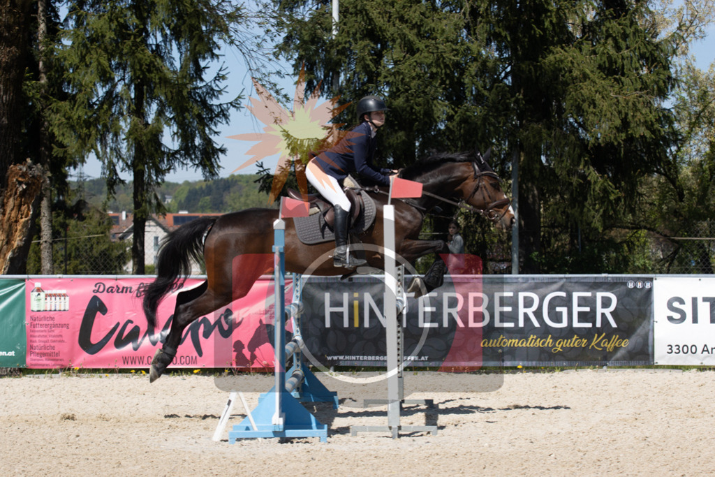 IMG_3174 | kraqueboom - Realisiert mit Pictrs.com
