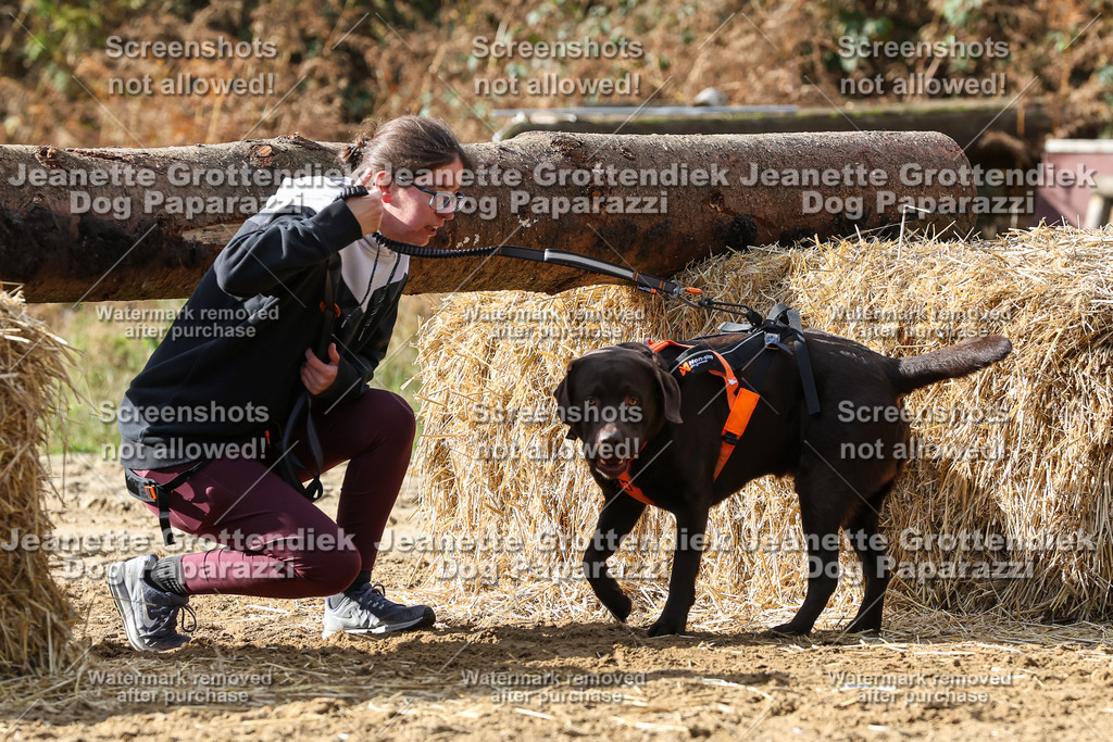 Dog Paparazzi - Strongdog 10-25-5048 | Dog Paparazzi Jeanette Grottendiek Fotografie & Videografie - Realisiert mit Pictrs.com