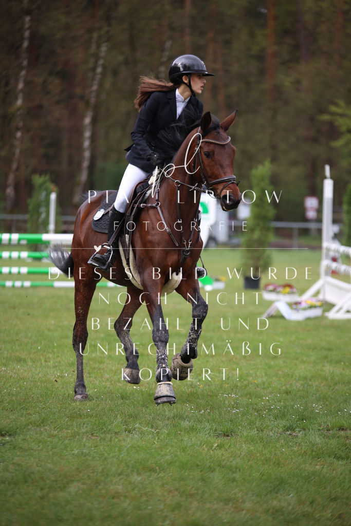 IMGT2905 | pl-fotografie