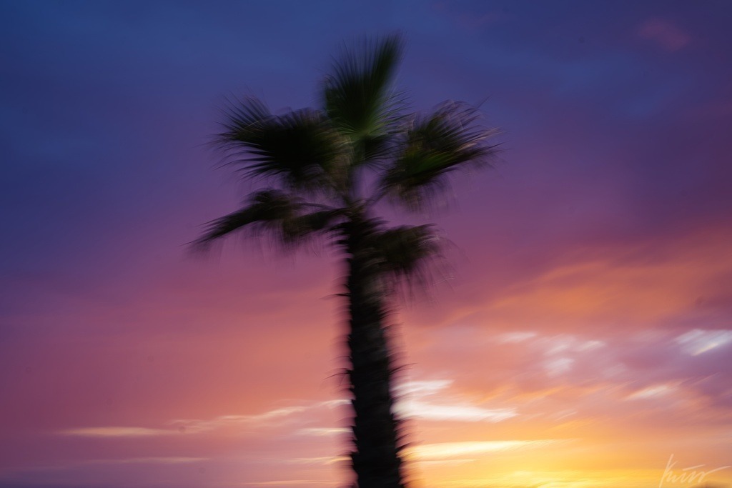 DSC08978 | In meinem Onlineshop biete ich nur sehr kritisch ausgewählte Fotografien an. Diese sind von meinen Reisen oder Kurztrips. Ich habe sie ausgewählt, da diese meiner Meinung Nach wunderbare Wandbilder darstellen.  - Realisiert mit Pictrs.com