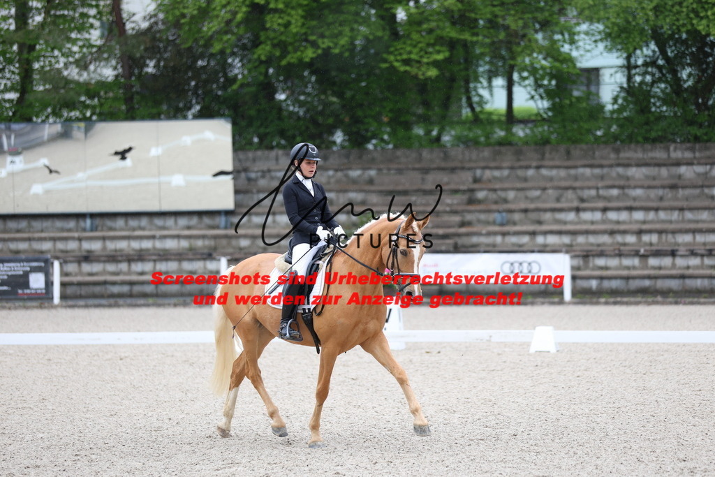 A40A7058 | lmwpictures - Realisiert mit Pictrs.com