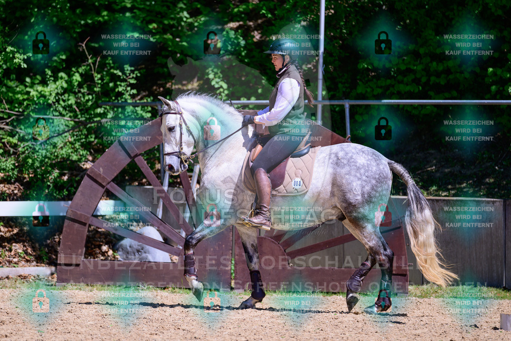 01052026-Giesenbach-02-Stiltrail-0058 | Fokus Hufschlag Fotografie - Realisiert mit Pictrs.com