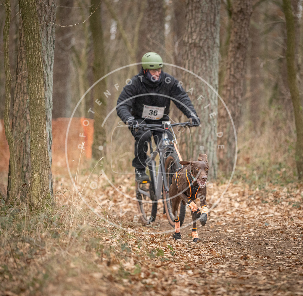 Pfotenfotografie_DV3A0016 | Hundefotografie, Tierfotograf, Pfotenfotografie, Fotoshooting Hund, Hunde Portrait, Hundesport, Hundeportraits, Heideshooting, Hunde, Sportfotograf, Hundefotograf, Turnierhundsport, THS,  - Realisiert mit Pictrs.com