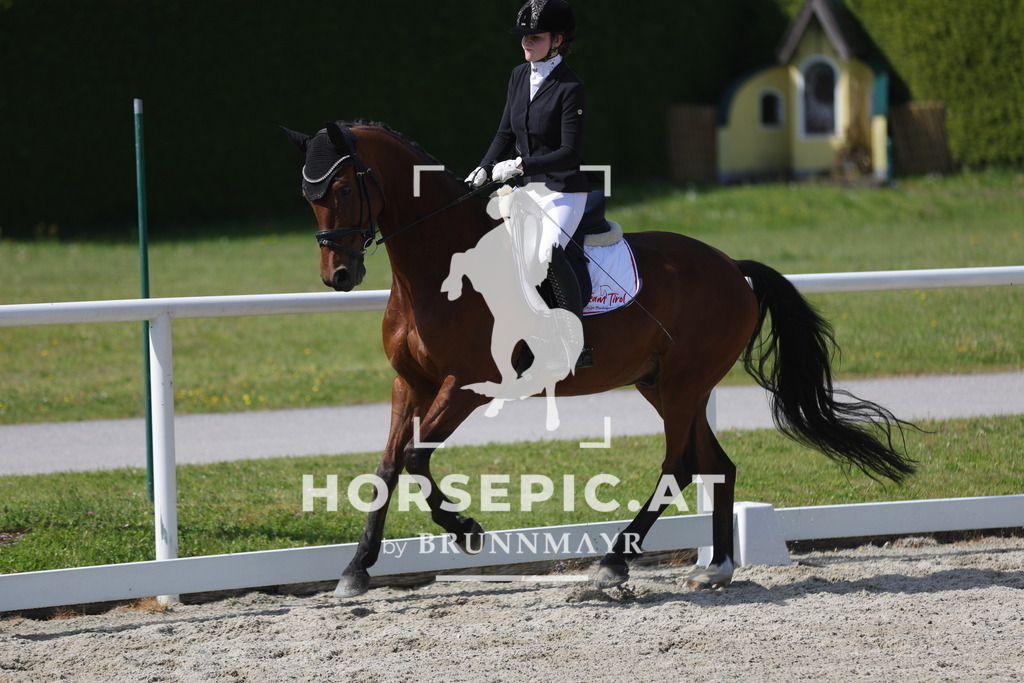 0P6A4652 | Willkommen bei Brunnmayr - Design & Fotografie – Ihrem Spezialisten für Reitturniere und Pferdeveranstaltungen in Oberösterreich, Salzburg und Bayern! Seit über 17 Jahren sind wir leidenschaftlich dabei.