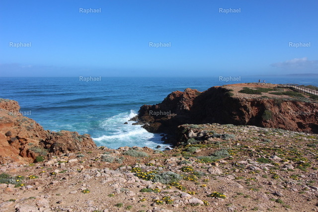 IMG_2914 | Raphael - Realisiert mit Pictrs.com