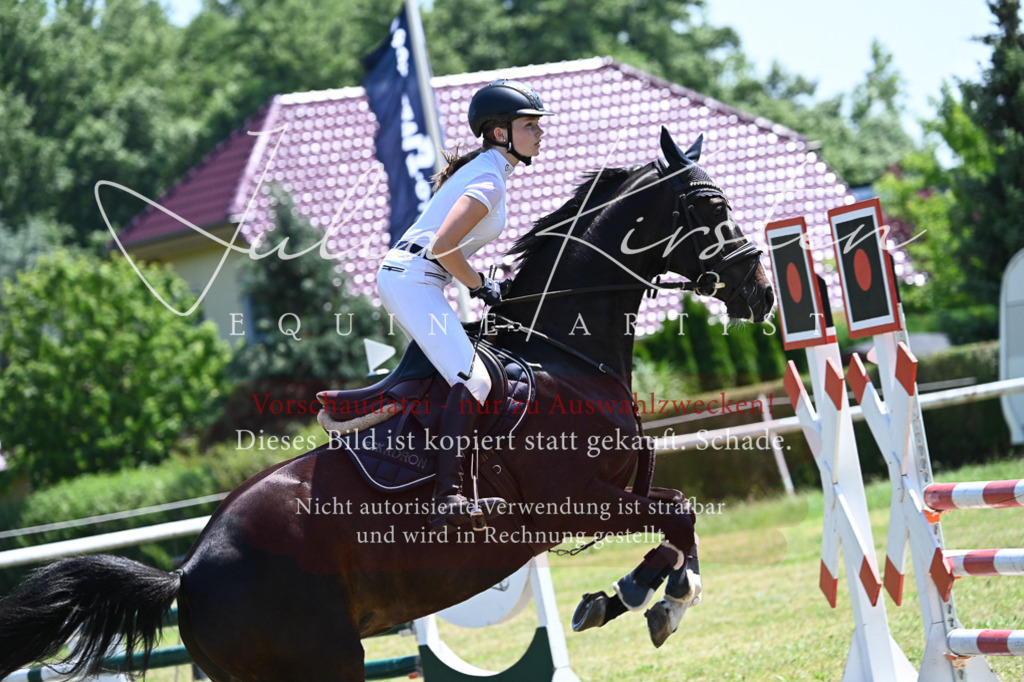 DSC_0735 | Pferde- und Turnierfotografie in Westsachsen. Pferdeportraits, Auftragszeichnungen und intuitive Kunst.