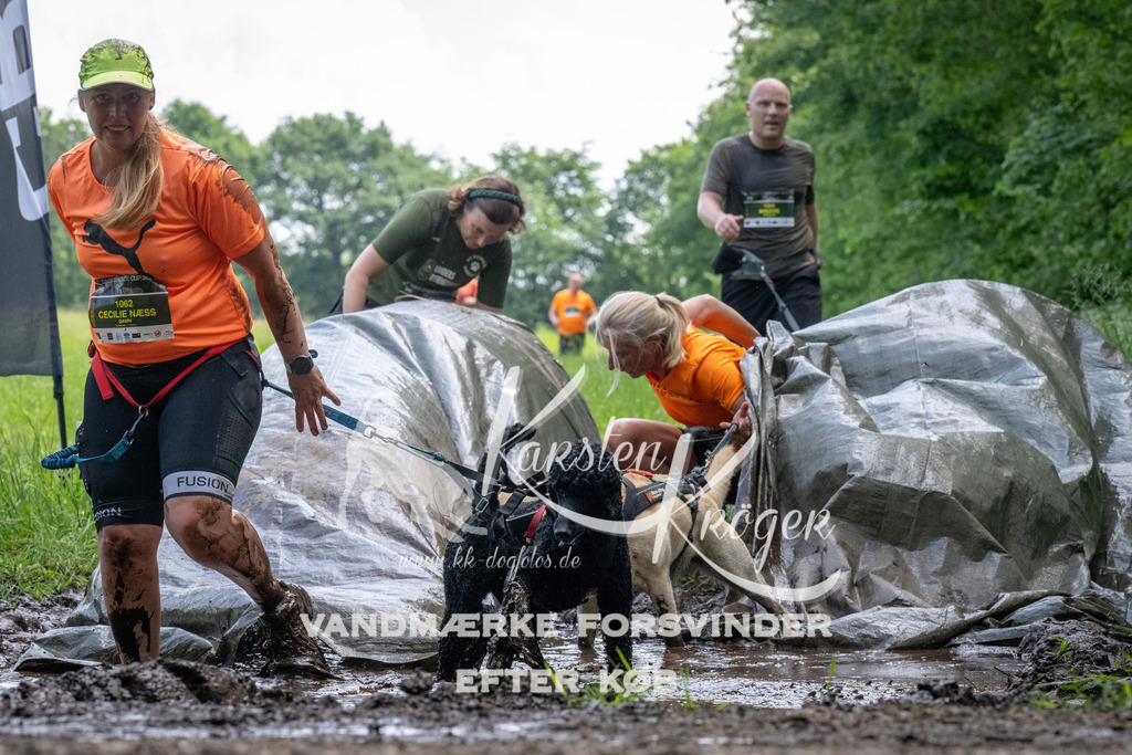 1142_ZZ94027 | kk-dogfotos