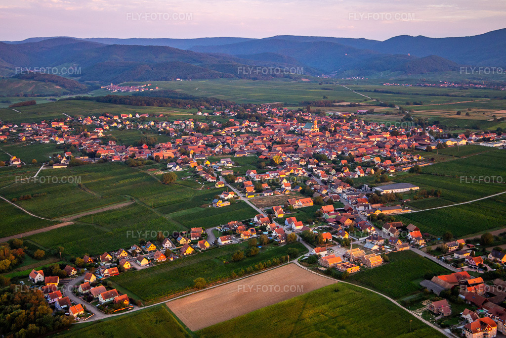 Aerial view: In the morning from the southeast in Epfig in the state Bas-Rhin, France. – Photo: IMG_137940.jpg taken on 08/19/2023 by Werner Riehm/FLY-FOTO.com – Resolution of the original: 5030 x 3353 px