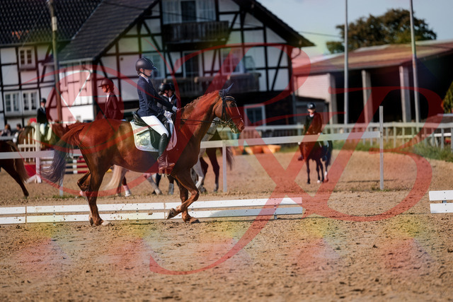 2026_10_03_Siefer-Hof_123435_Z63_52827482 | Professionelle Reitsport-, Turnier- und Eventfotografie von Robert Broda. Galerien mit ausgewählten und bearbeiteten Bildern direkt online ansehen und bestellen.