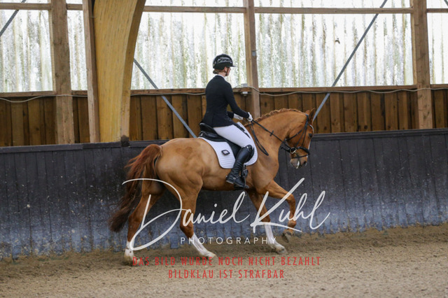 IMG_0171 | Turniersportfotografie; Pferdefotografie; Dressurfotografie