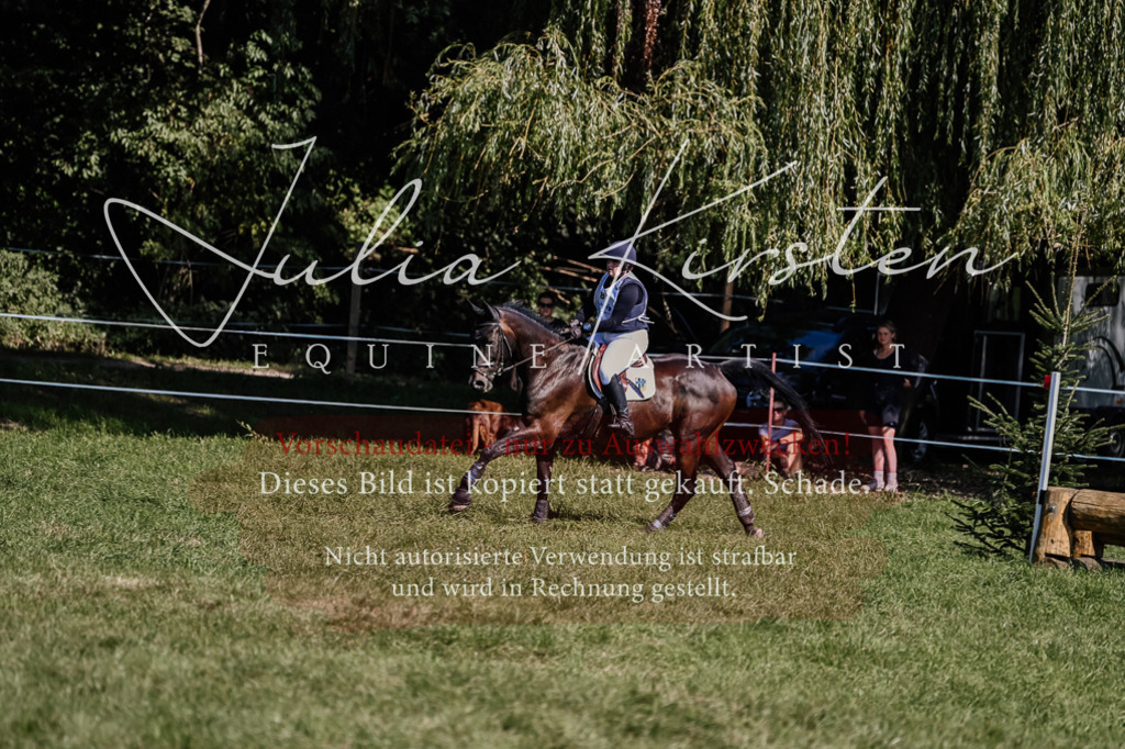 DSC_1605 | Pferde- und Turnierfotografie in Westsachsen. Pferdeportraits, Auftragszeichnungen und intuitive Kunst.