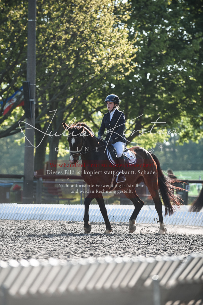 DSC_8277 | Pferde- und Turnierfotografie in Westsachsen. Pferdeportraits, Auftragszeichnungen und intuitive Kunst.