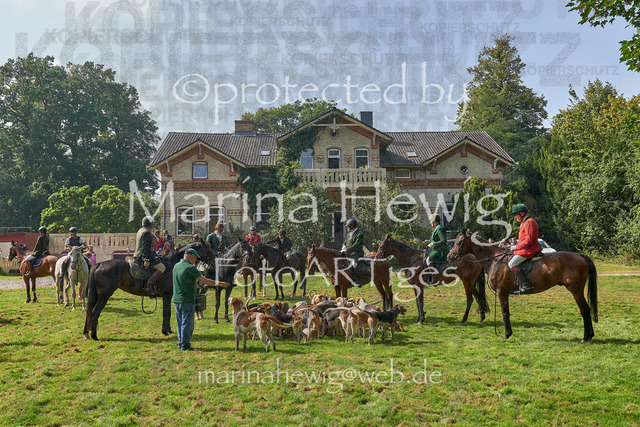 09-23 JAgd PerdölDSC02195_Marina Hewig | Fotografie, FotoArt, PferdesportArt, Pferdesportfotografie, Landschaftsfotografie, Reisefotografie, Reise, Pferde - Realisiert mit Pictrs.com