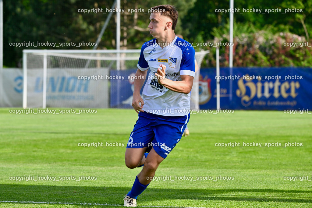 SAK vs. SK Treibach | #16 Ognjen Gigovic Böck SK Treibach, SAK vs. SK Treibach, SAK vs. SK Treibach am 29.05.2024 in Klagenfurt (Sportpark Welzenegg), Austria, (Photo by Bernd Stefan)