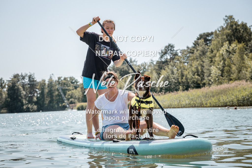 nelerasche_saSUP2_183 | nelerasche
