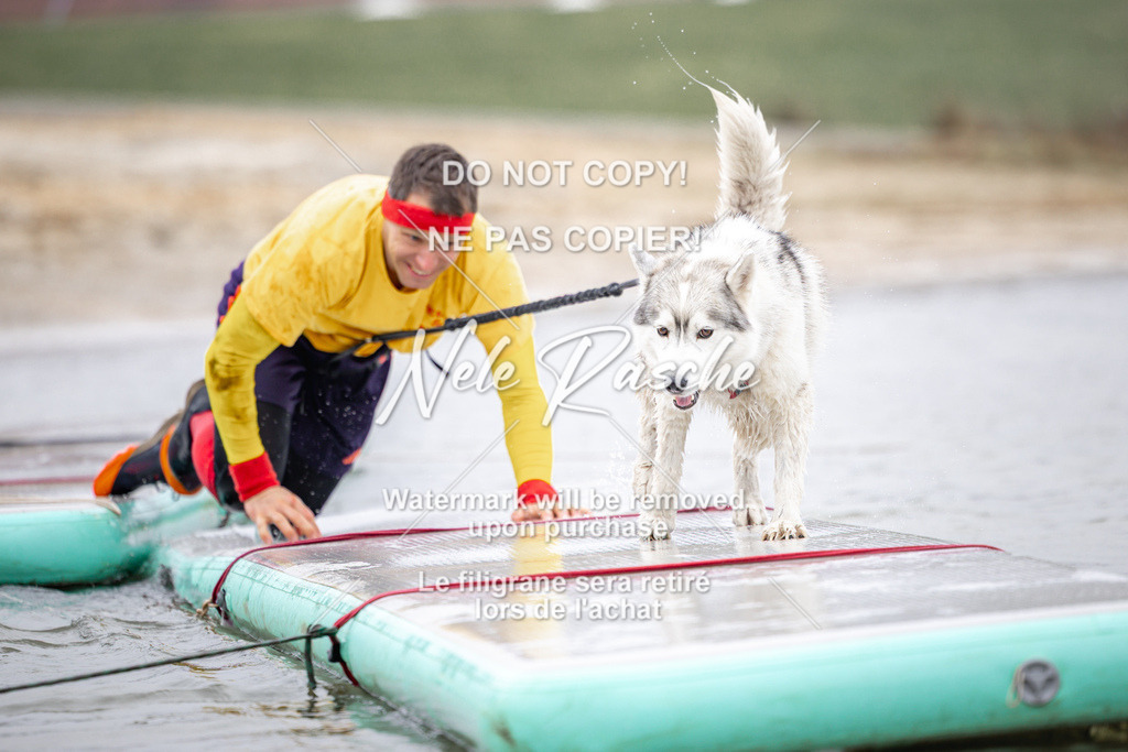 nelerasche_Hulsbeek_Sa1030-1100_293 | nelerasche