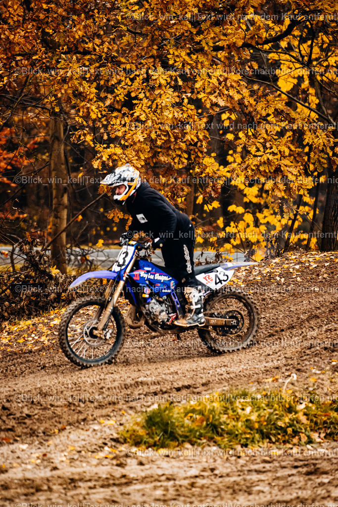 E68A4241 | blick_win_kel