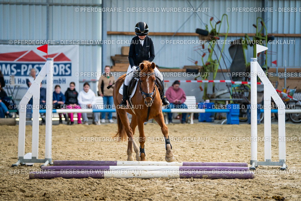 DSC01929 | Pferdegrafie