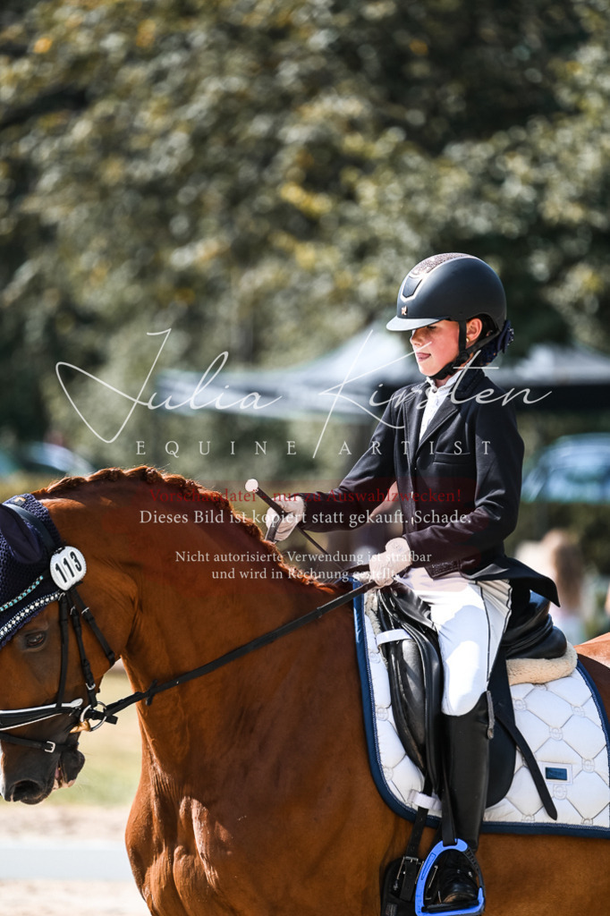 DSC_5098 | Pferde- und Turnierfotografie in Westsachsen. Pferdeportraits, Auftragszeichnungen und intuitive Kunst.