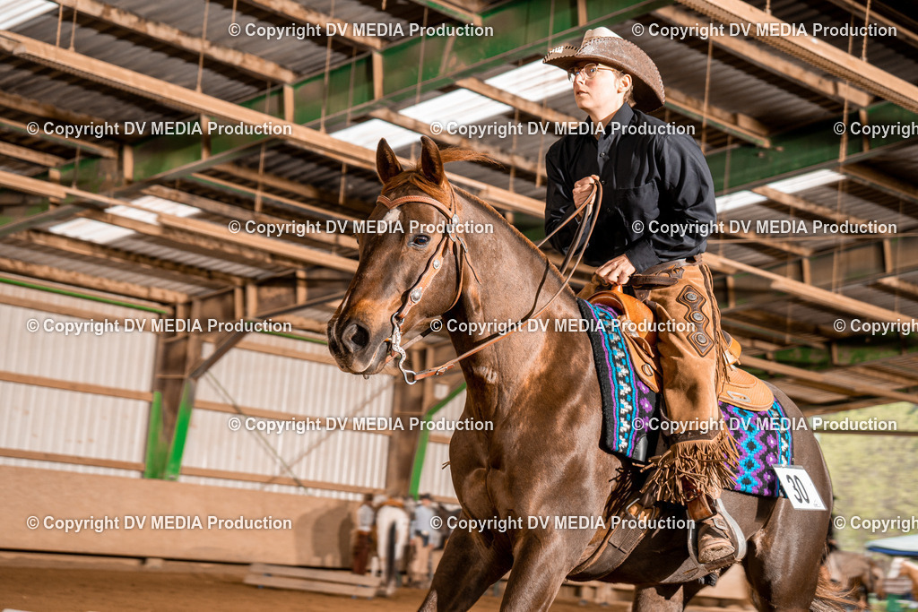 BA400288 | dv-media-shop - Realisiert mit Pictrs.com