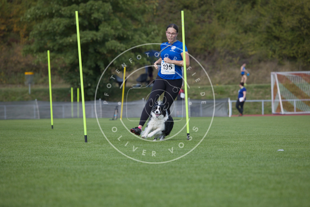 0L8A3449 | Hundefotografie, Tierfotograf, Pfotenfotografie, Fotoshooting Hund, Hunde Portrait, Hundesport, Hundeportraits, Heideshooting, Hunde, Sportfotograf, Hundefotograf, Turnierhundsport, THS,  - Realisiert mit Pictrs.com