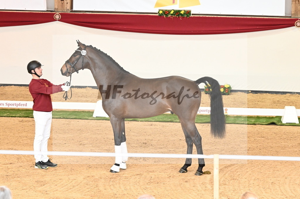 Kat.-Nr. 71 v. Va Bene_Müller_2240948 | hf-fotografie - Realisiert mit Pictrs.com