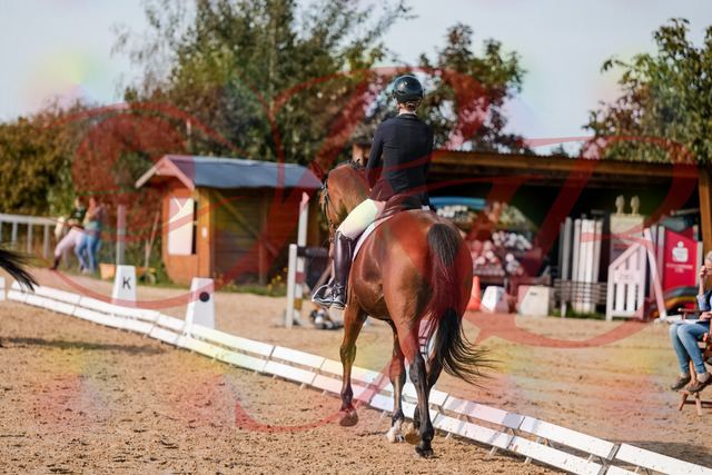 2026_10_03_Siefer-Hof_131019_Z63_72619517 | Professionelle Reitsport-, Turnier- und Eventfotografie von Robert Broda. Galerien mit ausgewählten und bearbeiteten Bildern direkt online ansehen und bestellen.