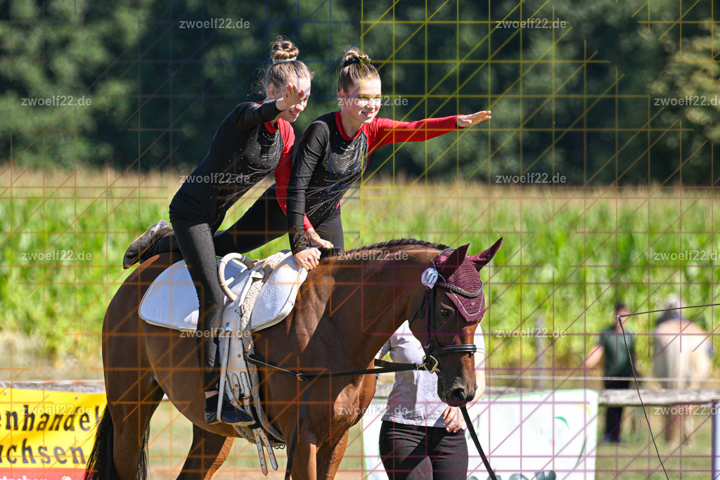 30 Jahre RFV Pulsnitz e.V., Pulsnitz am 09.08.2026 | 30Jahre Reit- und Fahrverein Pulsnitz e.V., Pulsnitz am 08.08.26, Zur 28. breitensportlichen Veranstaltung des RFV Pulsnitz e.V. fanden verschiedene Wettbewerbe in nahezu allen Disziplinen des Pferdesport statt.- Voltigier-Wettbewerb im Schritt - Realisiert mit Pictrs.com