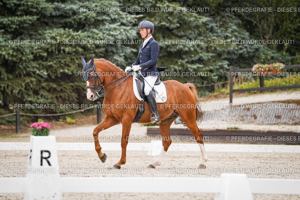 DSC08430 | Pferdegrafie