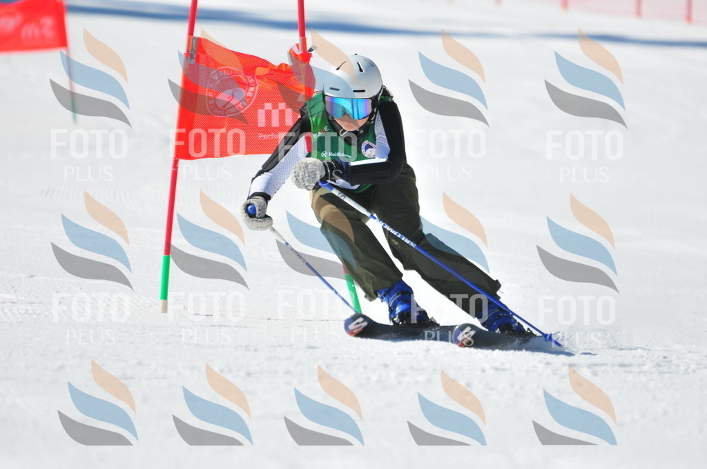 C4246 | holidayphoto