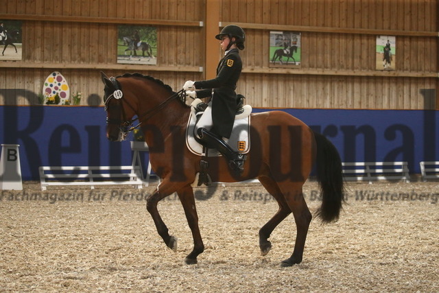 Turnier_Zeutern_2022_Prfg.Nr.02_Kurz-GrandPrix_Ann-Kathrin Lachemann_Fransje 3 (37) | Alle Fotos der Reiterjournal Fotografin Doris Matthaes im Reiterjournal Online-Fotoshop. - Realisiert mit Pictrs.com
