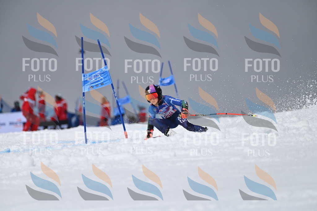AGV_5051 | holidayphoto