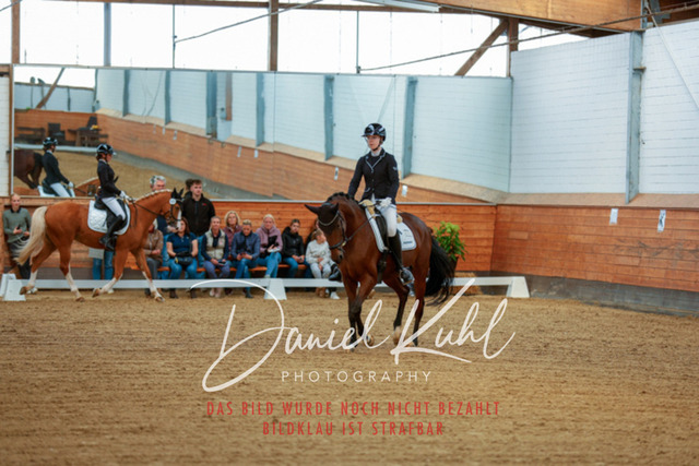 _62_5181 | Turniersportfotografie; Pferdefotografie; Dressurfotografie