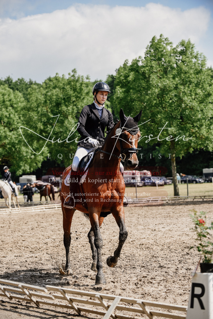 DSC_0477 | Pferde- und Turnierfotografie in Westsachsen. Pferdeportraits, Auftragszeichnungen und intuitive Kunst.