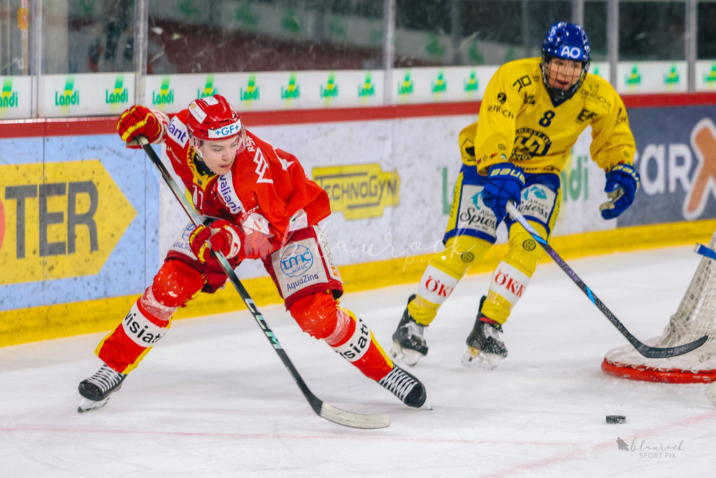 U21_EHCB vs HCD_wb20260308-0618 | Sportbilder, Sportfotograf, Hochzeits- und Eventfotografin, Flugshows, Portraits und Tiershooting, Aviation, Downhill, Nationalleague, Swissleague, International