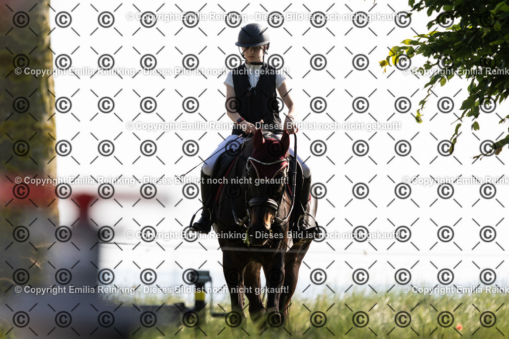 CL5A1277 | Emilia Reinking Fotografie - Realisiert mit Pictrs.com